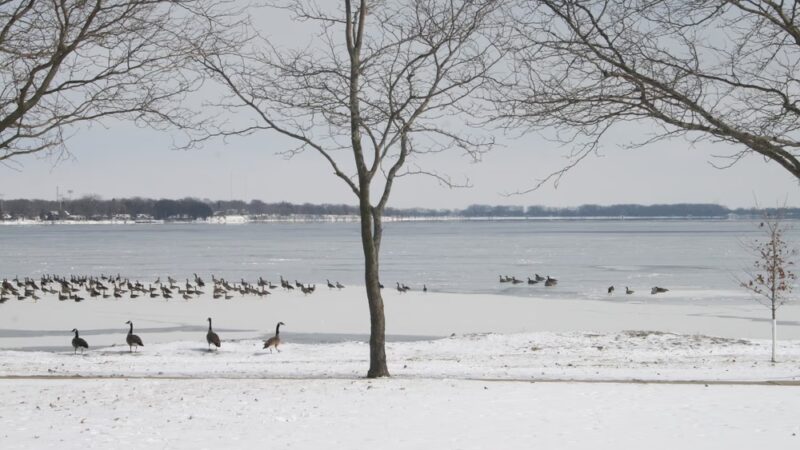 Storm Lake Parks & Recreation - Storm Lake, IA