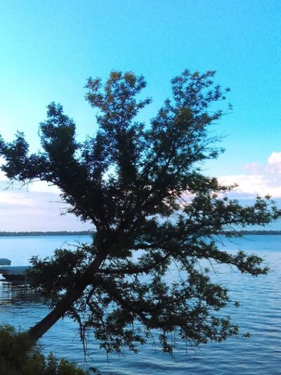 Sunset Park - Storm Lake, IA
