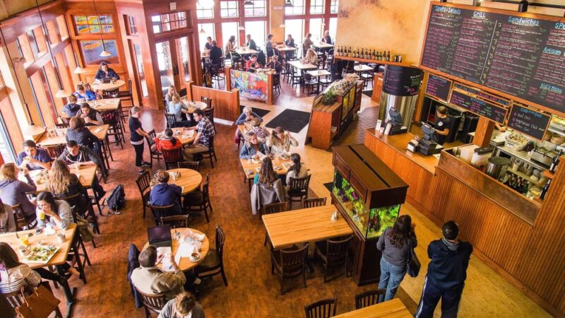 Dog Lane Café - Storrs, CT