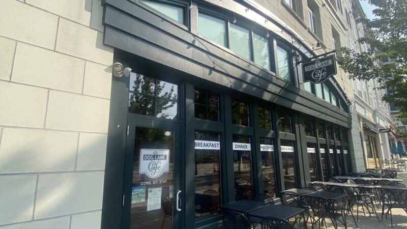 Dog Lane Café - Storrs, CT