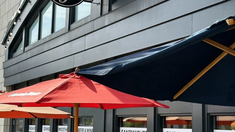 Dog Lane Café - Storrs, CT