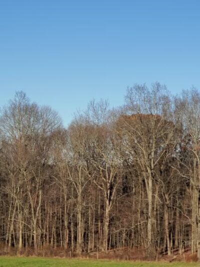 Horsebarn Hill - Storrs, CT