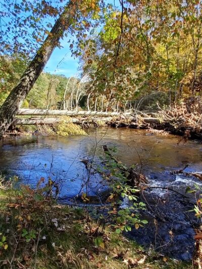Riverview Trail Park - Storrs, CT