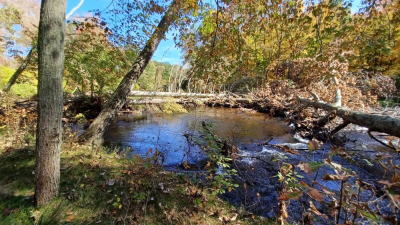Riverview Trail Park - Storrs, CT