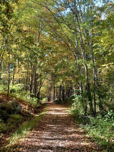 Riverview Trail Park - Storrs, CT
