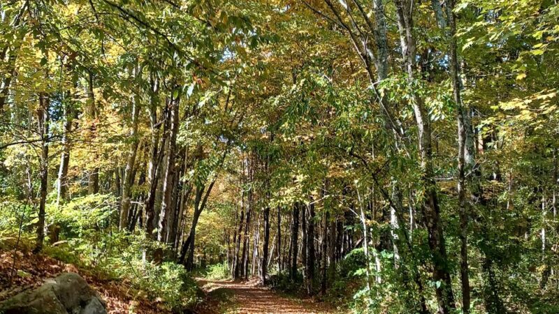 Riverview Trail Park - Storrs, CT
