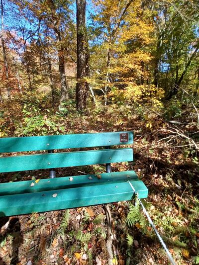 Riverview Trail Park - Storrs, CT