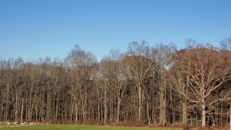 Riverview Trail Parkorsebarn Hill - Storrs, CT