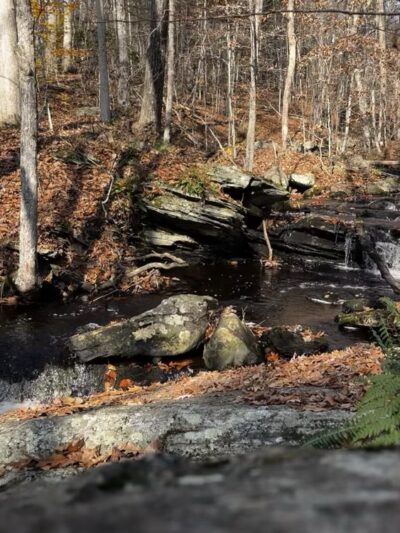 Shelter Falls Park - Storrs, CT