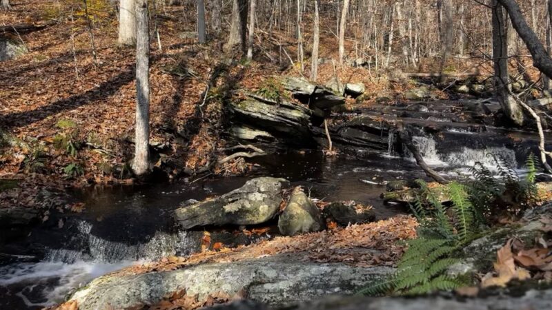 Shelter Falls Park - Storrs, CT