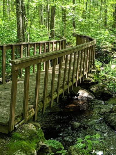 Shelter Falls Park - Storrs, CT