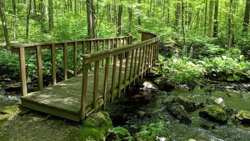 Shelter Falls Park - Storrs, CT