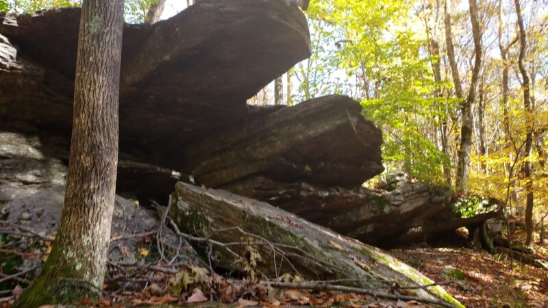 Shelter Falls Park - Storrs, CT