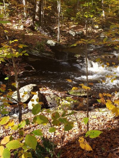 Shelter Falls Park - Storrs, CT