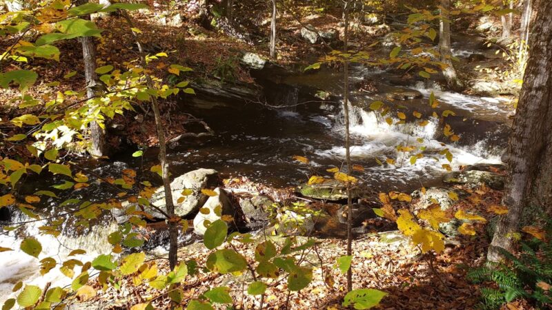 Shelter Falls Park - Storrs, CT
