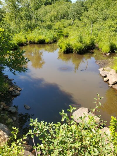 Shelter Falls Park - Storrs, CT