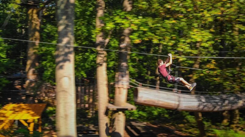 The Adventure Park at Storrs - Storrs, CT