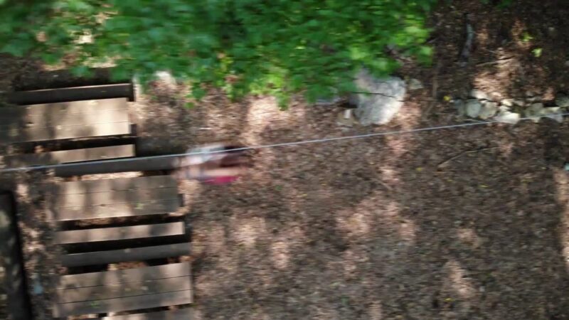 The Adventure Park at Storrs - Storrs, CT