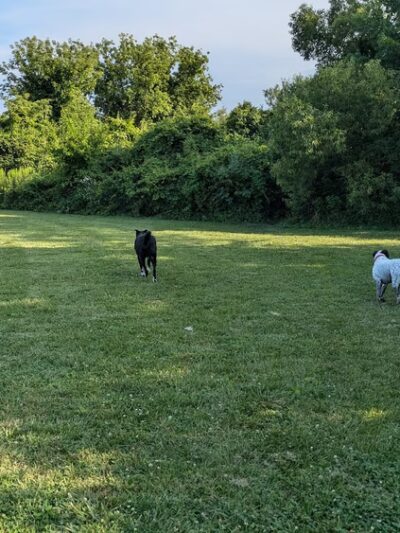 Viking County Park - Stoughton, WI