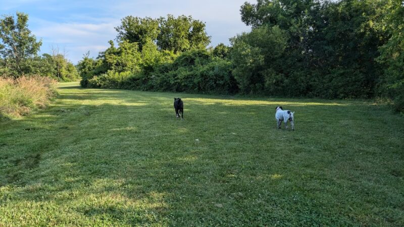Viking County Park - Stoughton, WI