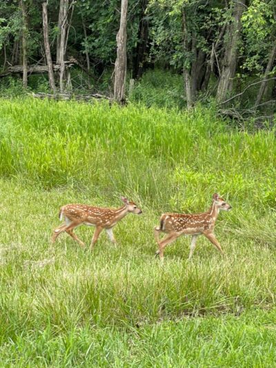 Dry Dock Campgrounds - Stoutsville, MO