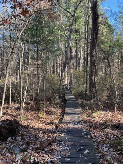 Heath Hen Meadow Brook Woodland Hiking Trail - Stow, MA