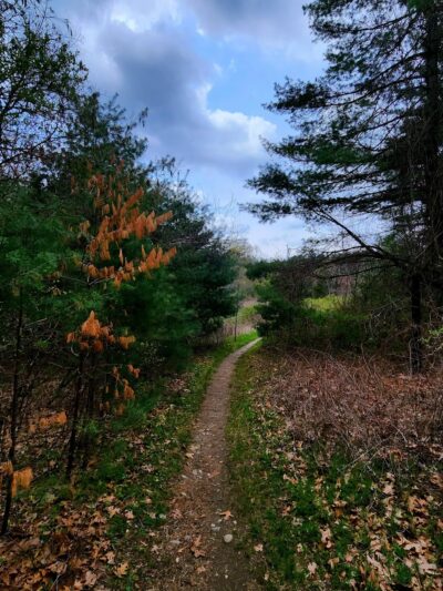 Mass Wildlife's Delaney Wildlife Management Area - Stow, MA