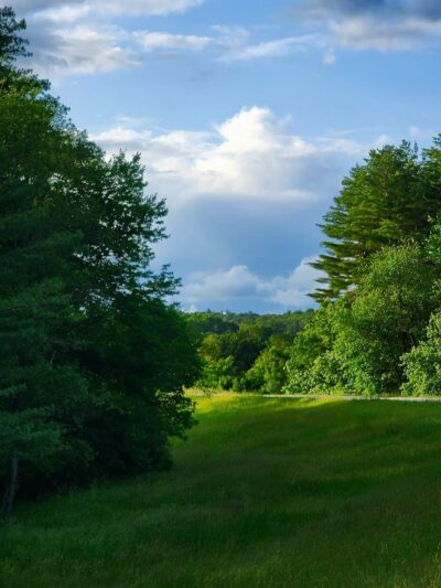 Mass Wildlife's Delaney Wildlife Management Area - Stow, MA