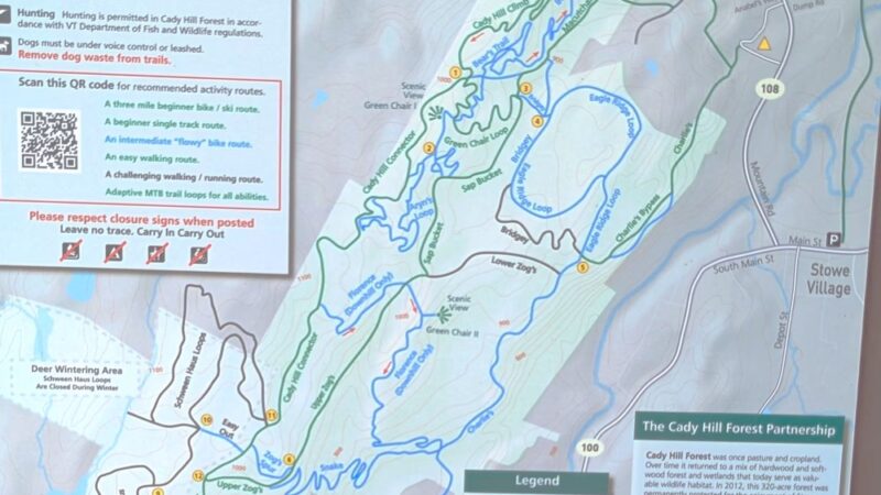 Cady Hill Forest - Stowe, VT