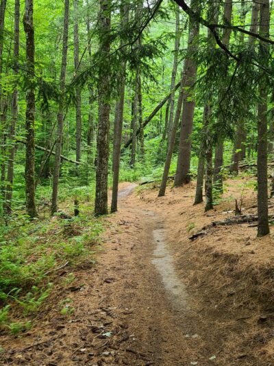 Cady Hill Forest - Stowe, VT