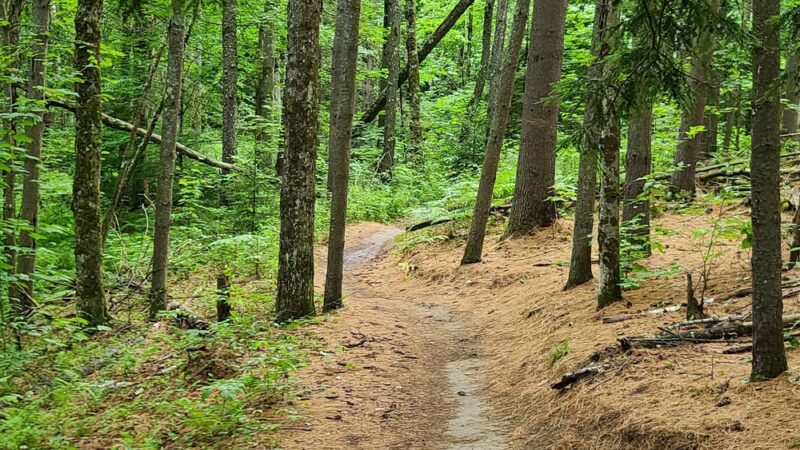 Cady Hill Forest - Stowe, VT
