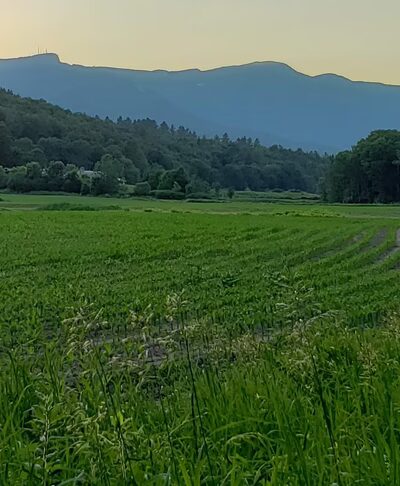 Chase Park - Stowe, VT