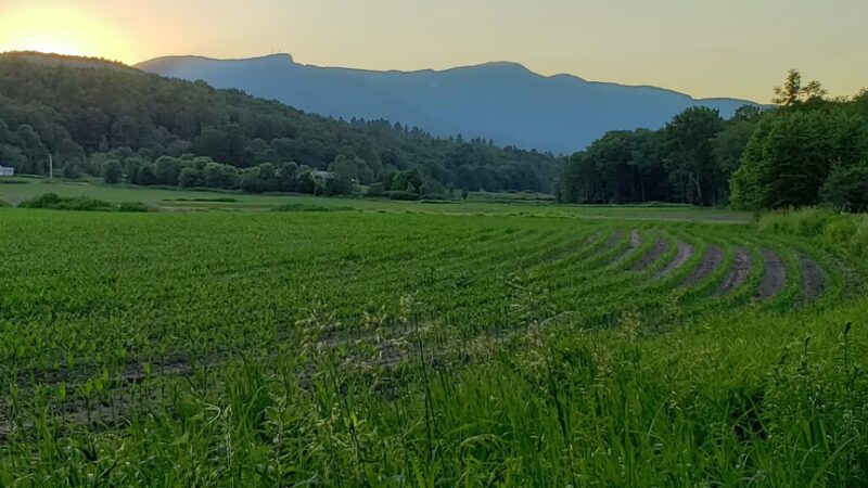 Chase Park - Stowe, VT