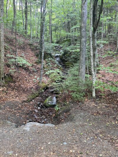 Cottonbrook Reservoir Trail - Stowe, VT