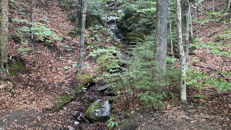 Cottonbrook Reservoir Trail - Stowe, VT