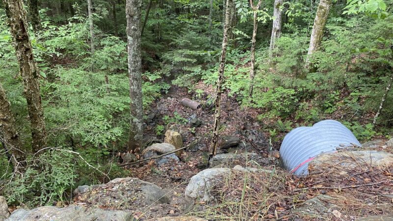 Cottonbrook Reservoir Trail - Stowe, VT