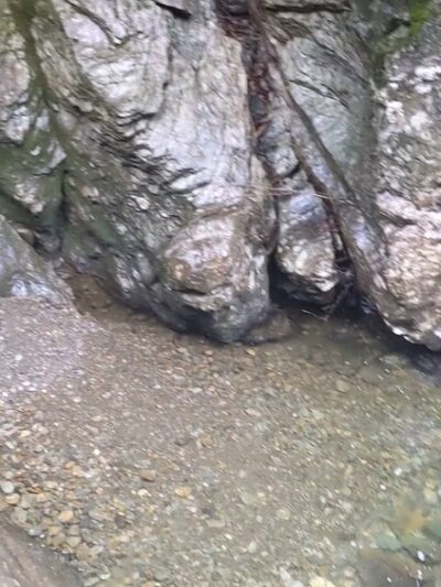Mill Trail - Stowe, VT