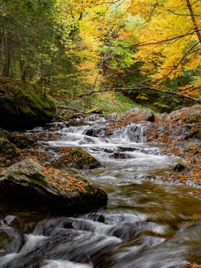 Mill Trail - Stowe, VT