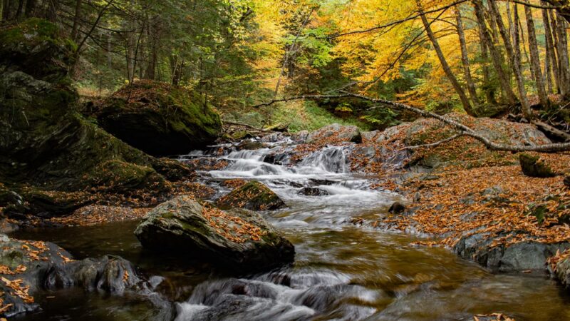 Mill Trail - Stowe, VT