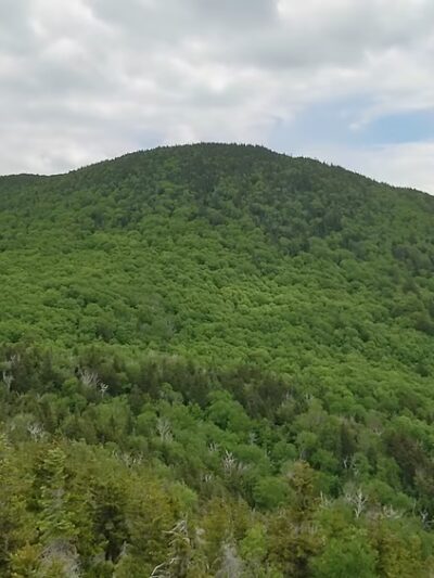 Pinnacle Meadows, Stowe Land Trust - Stowe, VT