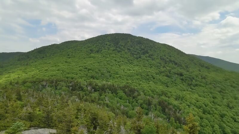 Pinnacle Meadows, Stowe Land Trust - Stowe, VT