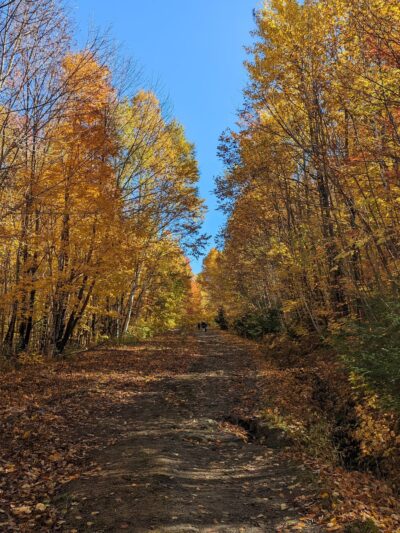 Pinnacle Meadows, Stowe Land Trust - Stowe, VT
