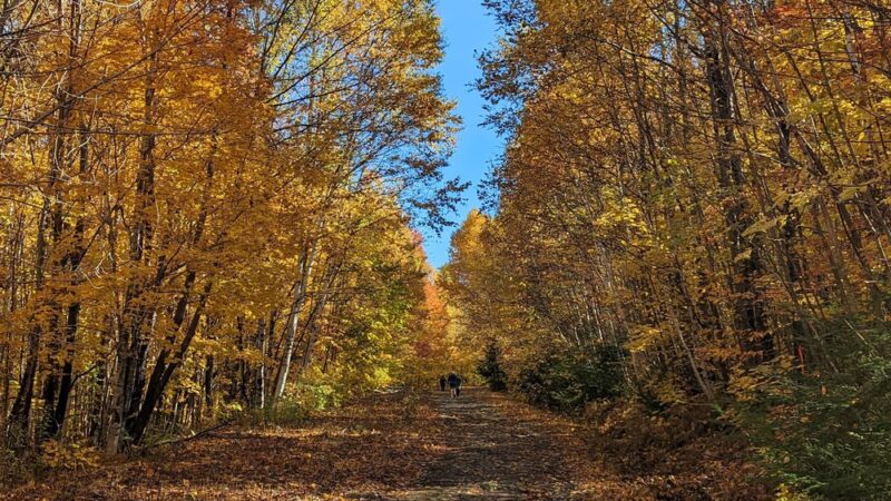 Pinnacle Meadows, Stowe Land Trust - Stowe, VT