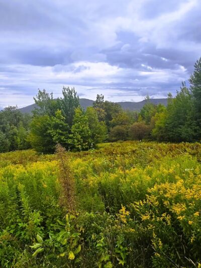 Pinnacle Meadows, Stowe Land Trust - Stowe, VT