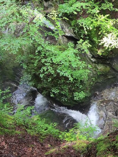 Sterling Gorge Falls - Stowe, VT
