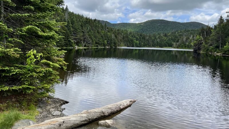 Sterling Pond Trail - Stowe, VT
