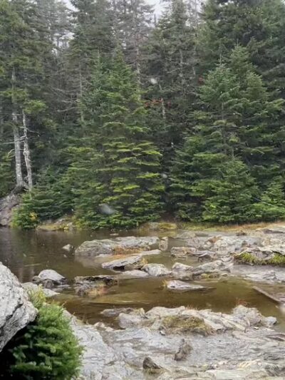 Sterling Pond Trail - Stowe, VT