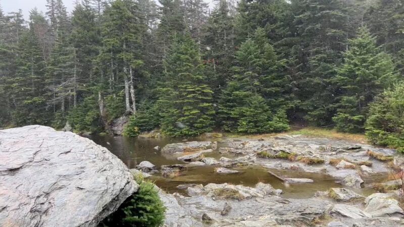 Sterling Pond Trail - Stowe, VT