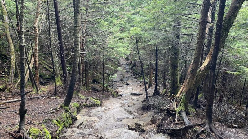 Sterling Pond Trail - Stowe, VT