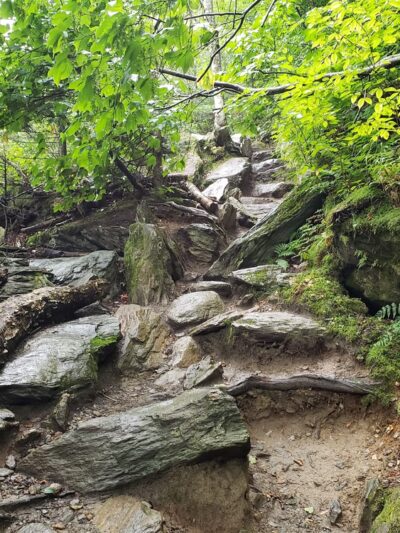 Sterling Pond Trail - Stowe, VT